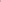 Wild Berry